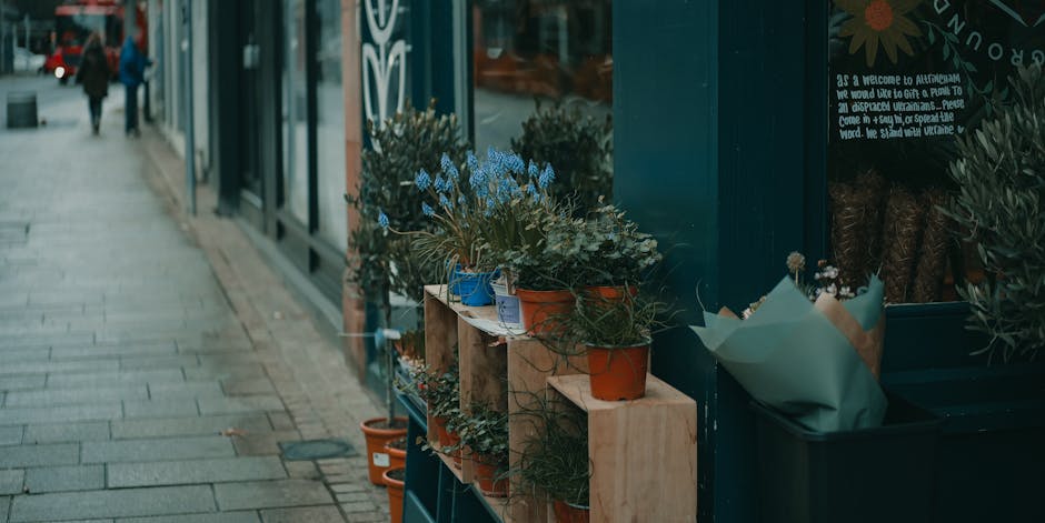 A row of potted flowering plants and greenery arranged on wooden shelves outside a flower shop in Leytonstone, illuminated by soft natural light. The plants include blue-flowered daffodils or hyacinth