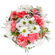 Infused with the soft glow of an early Leytonstone morning, this overhead bouquet captures the essence of celebration and local joy. At its centre, radiant white daisies with lime-hued centres evoke hopefulness and clarity, framed by rounded waves of lush coral-pink carnations whose velvet petals ripple with gentle volume. White baby's breath drifts lightly between blooms, offering airy support and a celestial texture, while sprigs of eucalyptus and dark green foliage border the bouquet with earthy calm. Peeking from within, unopened alstroemeria buds washed in purples and dusty pinks hint at new blossoms and unfolding stories. Each element is thoughtfully chosen by Leytonstone Florist, reflecting the heritage of floral craft present along the High Road and in neighbourhood homes. The bouquet's mood feels tranquil yet bright-a symbol of appreciation or cheer, ideal for same-day delivery to families on Grove Green Road or for welcoming spring to a favourite windowsill. Its fragrance combines freshness and gentle sweetness, turning everyday spaces into invitations for joy and gratitude, much like the welcoming parks and gardens surrounding Leytonstone.
